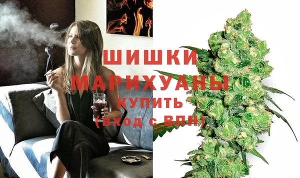 ГАЛЛЮЦИНОГЕННЫЕ ГРИБЫ Богданович