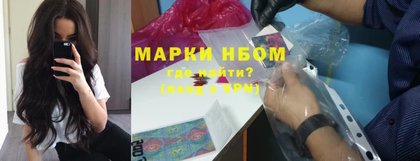 ГАЛЛЮЦИНОГЕННЫЕ ГРИБЫ Богданович