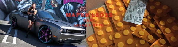 ГАЛЛЮЦИНОГЕННЫЕ ГРИБЫ Богданович
