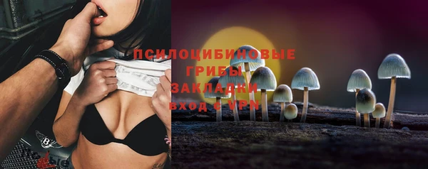 ГАЛЛЮЦИНОГЕННЫЕ ГРИБЫ Богданович