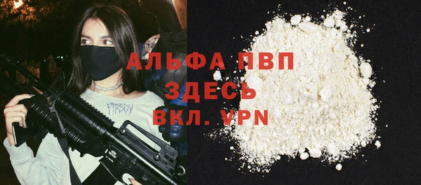 ГАЛЛЮЦИНОГЕННЫЕ ГРИБЫ Богданович