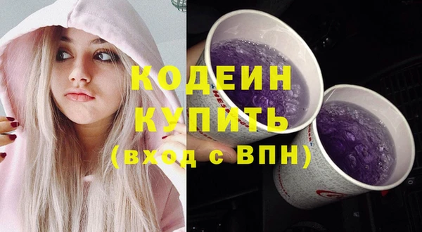 ГАЛЛЮЦИНОГЕННЫЕ ГРИБЫ Богданович