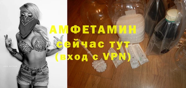 ГАЛЛЮЦИНОГЕННЫЕ ГРИБЫ Богданович
